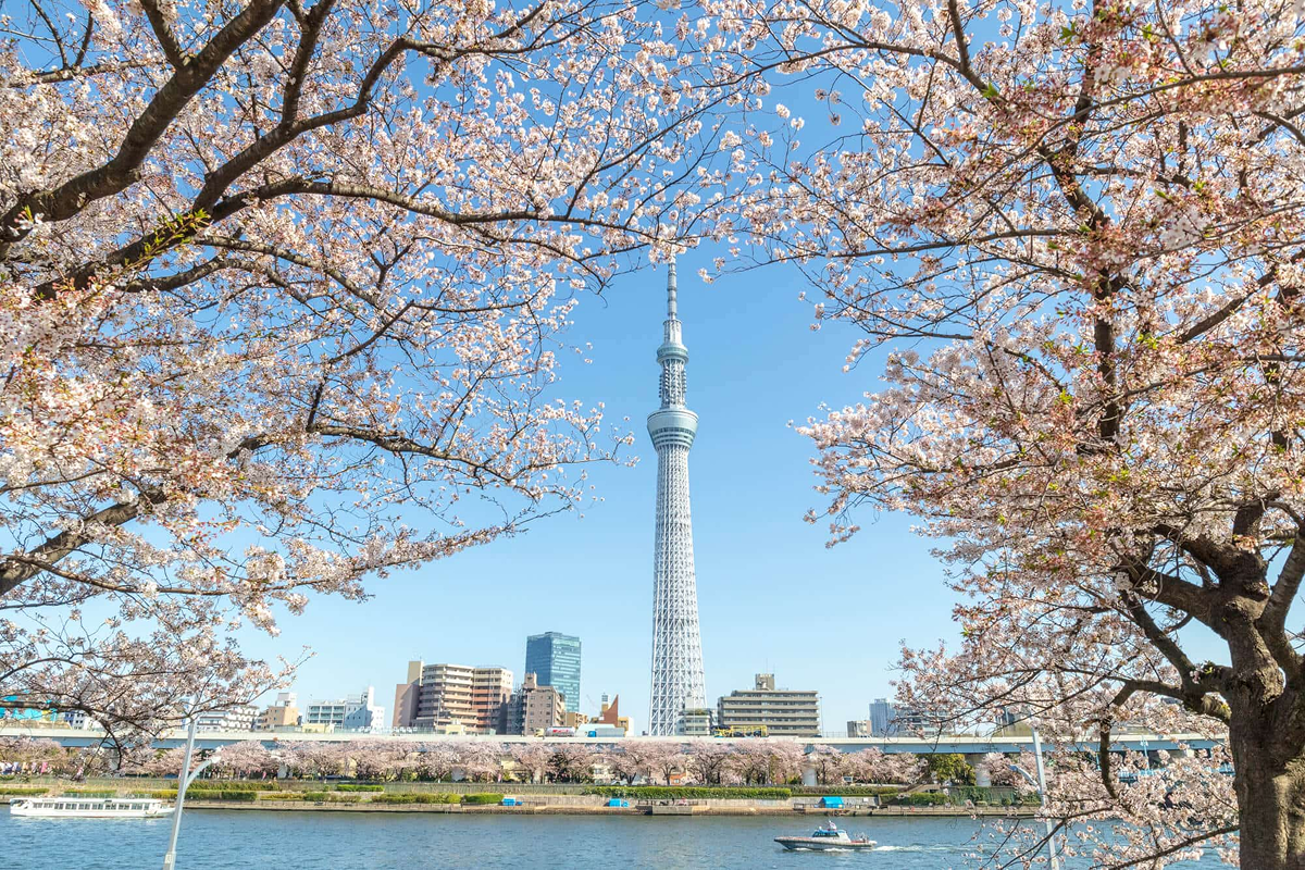 du lịch tokyo