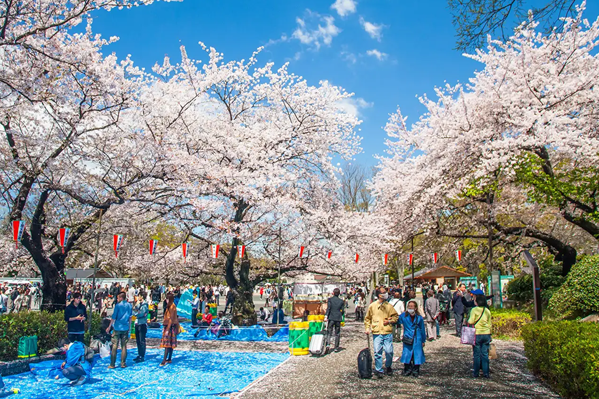 du lịch tokyo