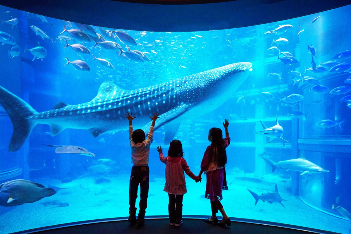 Du lịch Osaka