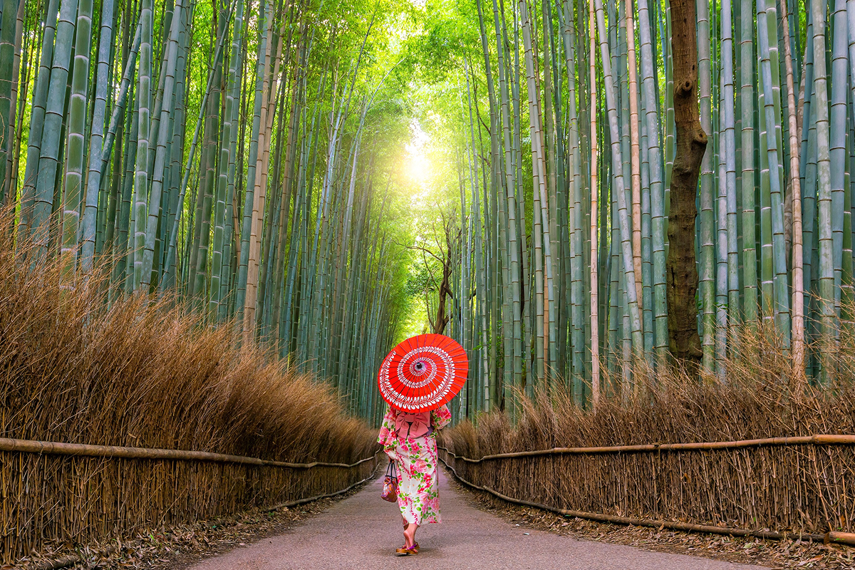 Du Lịch Kyoto Khám Phá Cố Đô Nghìn Năm