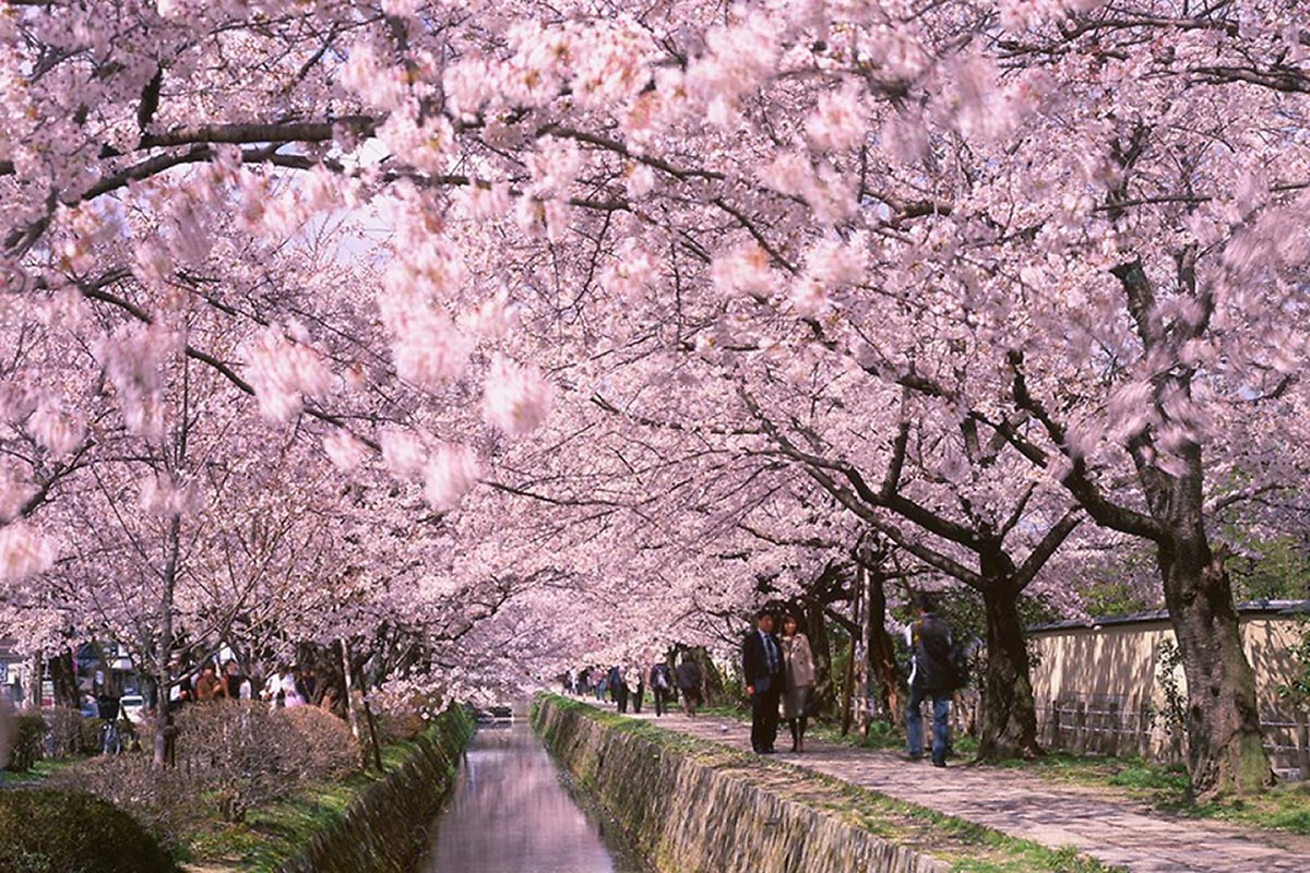 Du Lịch Kyoto Khám Phá Cố Đô Nghìn Năm