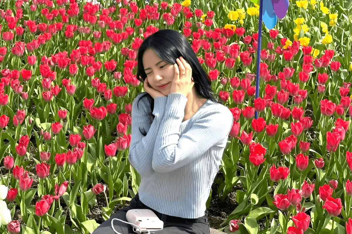 Du lịch Hàn Quốc theo tháng với cảnh sắc bốn mùa