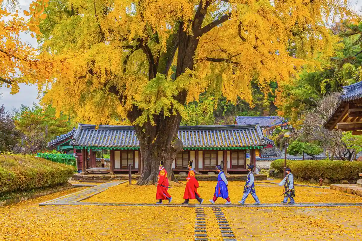 Tour du lịch Hàn Quốc khám phá Seoul và các điểm đến nổi tiếng