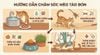 Hướng dẫn chăm sóc mèo khi bị bón