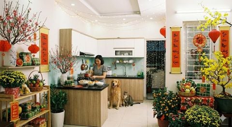 Cẩm Nang Chăm Sóc Chó Mèo Mùa Tết: Bí Quyết Để 