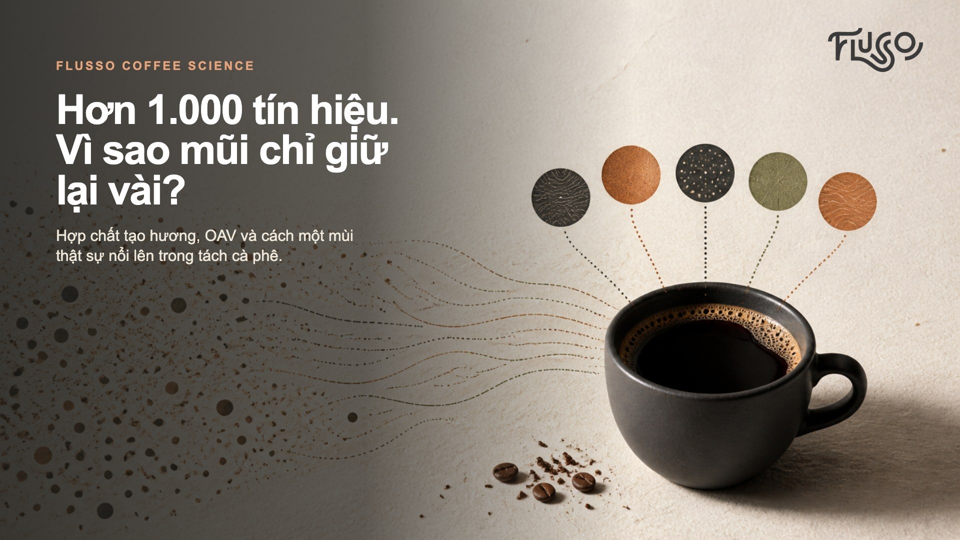 Hợp chất tạo hương trong cà phê: Vì sao hơn 1.000 tín hiệu chỉ còn vài mùi nổi bật?
