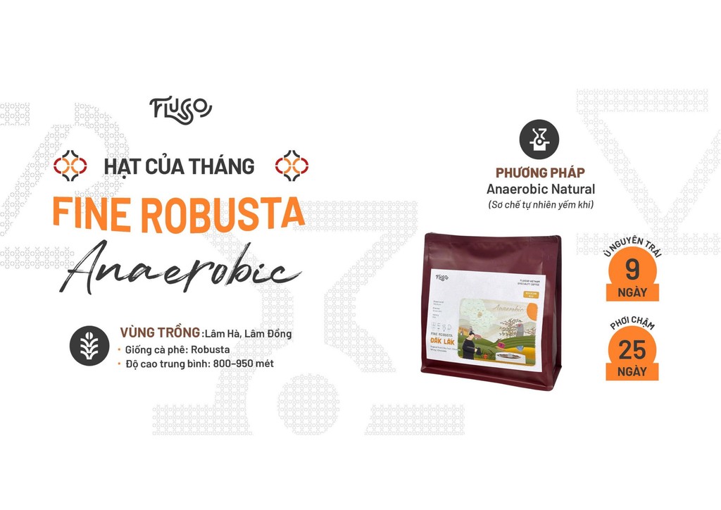 Hạt mới tháng 8: đọc hồ sơ nguồn gốc, điểm số và chất lượng cà phê Flusso