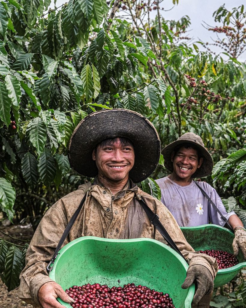 Bản đồ specialty coffee Việt Nam: những vùng trồng đáng khám phá