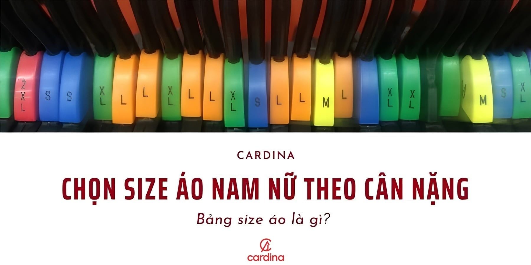 Bảng size áo là gì? Cách chọn đồ chuẩn size theo bảng size có sẵn cho nam nữ