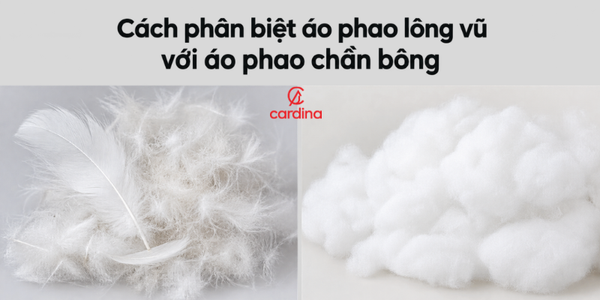 Học ngay cách phân biệt áo phao lông vũ với áo phao chần bông