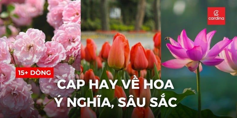 101+ Cap Hay Về Hoa Ý Nghĩa, Sâu Sắc Giúp Bạn Gửi Gắm Tâm Trạng