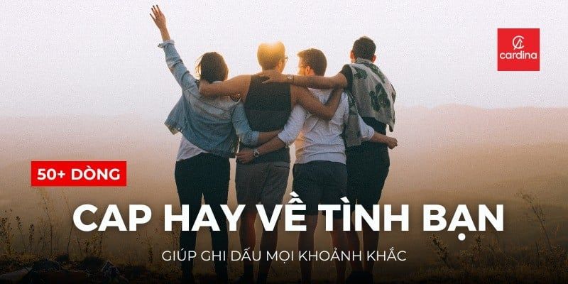 50+ Dòng Cap Hay Về Tình Bạn Giúp Ghi Dấu Mọi Khoảnh Khắc