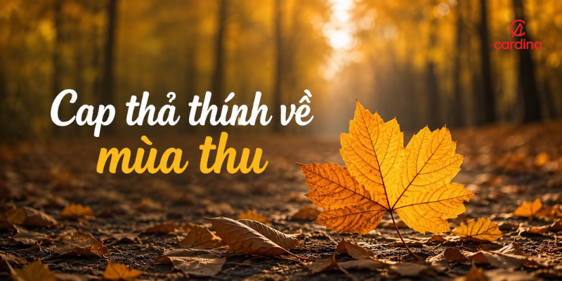 99+ Cap thả thính về mùa thu, caption hay về mùa thu 2026