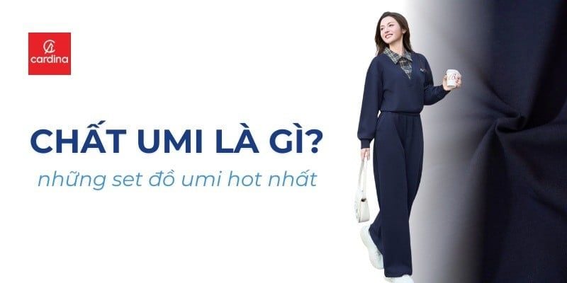 Chất Umi Là Gì? Những Set Đồ Umi Khiến Giới Trẻ Phát Sốt Mùa Đông 2025