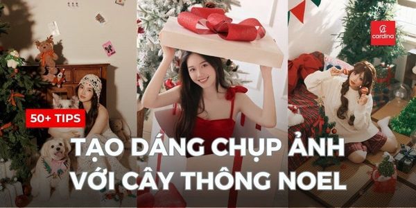 50+ Tips tạo dáng chụp ảnh với cây thông Noel cực đỉnh, HOT nhất 2026