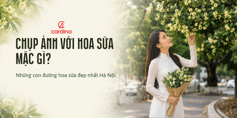 Chụp ảnh với hoa sữa mặc gì? Những con đường hoa sữa đẹp nhất Hà Nội