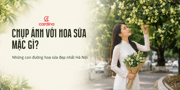 Chụp ảnh với hoa sữa mặc gì? Những con đường hoa sữa đẹp nhất Hà Nội