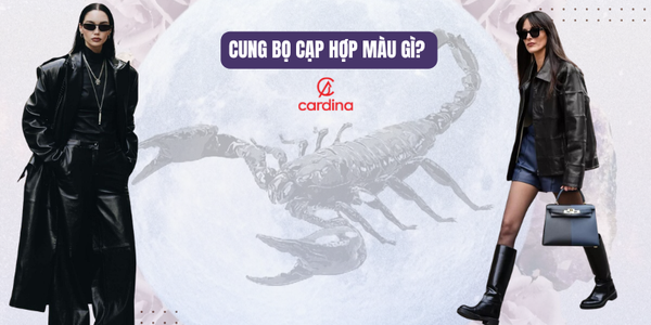 Cung bọ cạp hợp màu gì? Mặc gì để bọ cạp trở nên thu hút hơn?