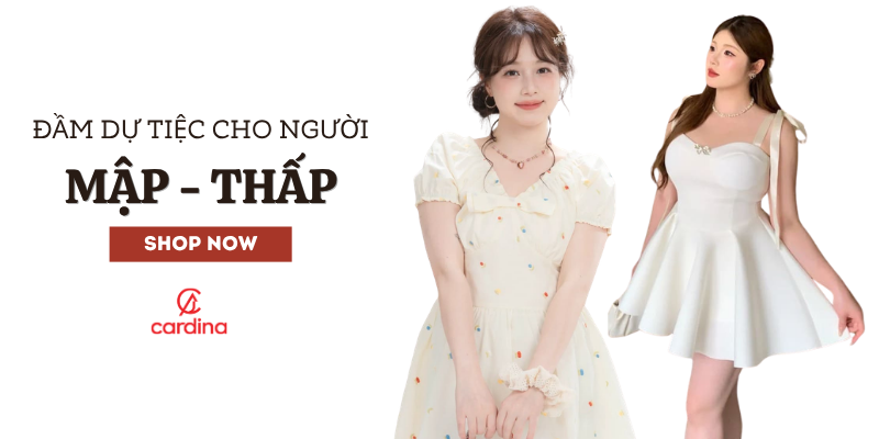 10+ mẫu đầm Nohu09 link không bị chặn cho người mập thấp giúp hack dáng đỉnh