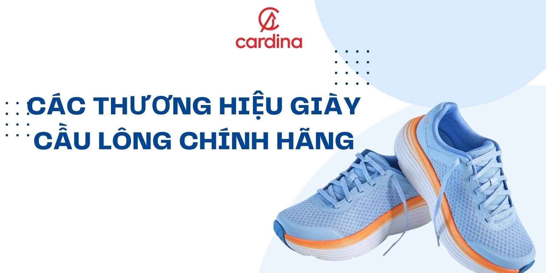 Top những thương hiệu giày cầu lông chính hãng chất lượng cao