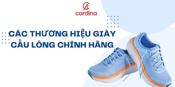 Top những thương hiệu giày cầu lông chính hãng chất lượng cao