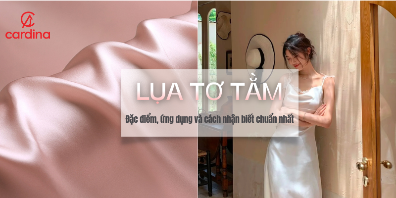 Lụa tơ tằm là gì? Đặc điểm, ứng dụng và cách nhận biết chuẩn nhất