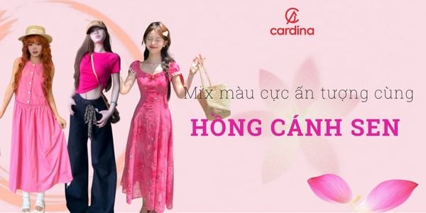 Màu hồng cánh sen hợp với màu gì? Mix match siêu ấn tượng với hồng cánh sen
