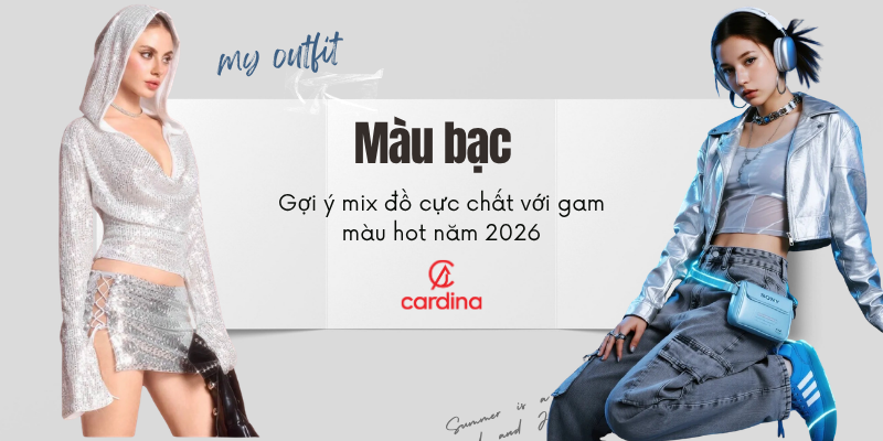 Màu bạc ánh kim là gì? Gợi ý mix đồ cực chất với gam màu hot năm 2026