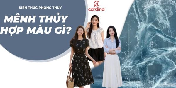 Mệnh Thủy hợp màu gì? Cách chọn đồ cho người mệnh Thủy
