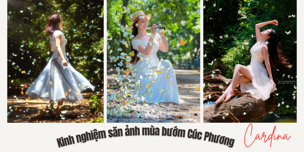 Kinh nghiệm săn ảnh mùa bướm Cúc Phương từ A-Z