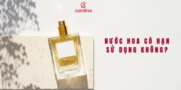 Nước hoa có hạn sử dụng không? Cách nhận biết nước hoa hết hạn