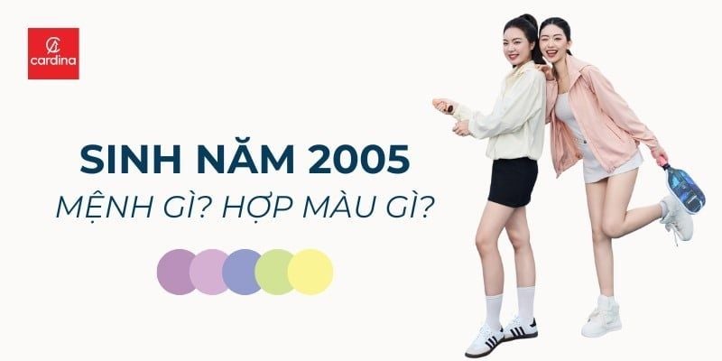 Sinh Năm 2005 Mệnh Gì? Bí Kíp Chọn Màu Sắc Cho Tuổi Ất Dậu Thêm May Mắn
