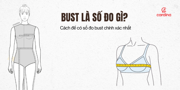Bust là số đo gì? Cách để có số đo bust chính xác nhất