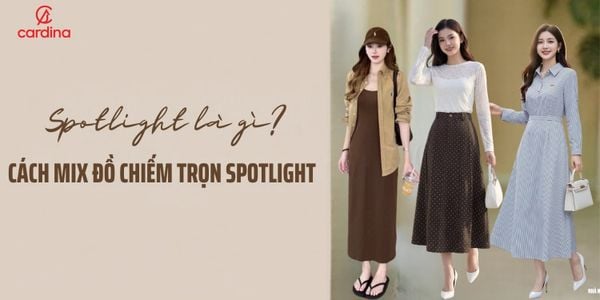 Spotlight là gì? Chiếm spotlight có nghĩa là gì? Mix đồ chiếm trọn spotlight