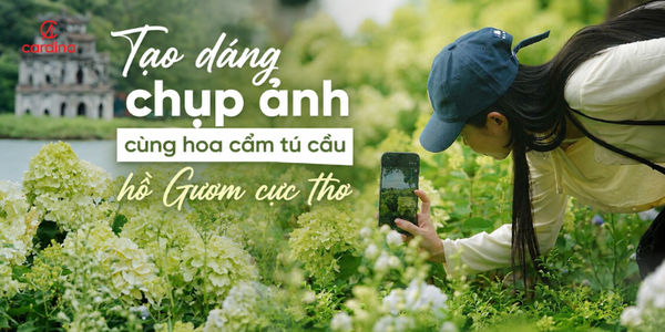 Cách tạo dáng chụp ảnh cùng hoa cẩm tú cầu hồ Gươm cực thơ