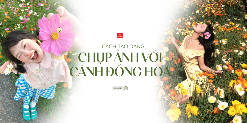 20+ Ý tưởng tạo dáng chụp ảnh với cánh đồng hoa đẹp như nàng thơ