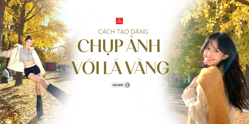 Lưu ngay 20+ cách chụp ảnh với lá vàng lãng mạn, đẹp “nao lòng”