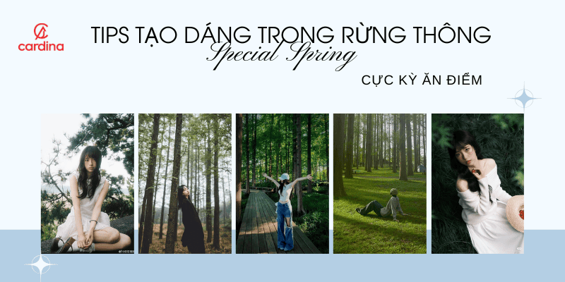 20+ cách tạo dáng chụp ảnh trong rừng thông đẹp chuẩn nàng thơ