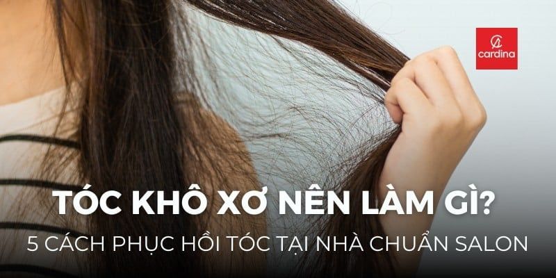 Tóc Khô Xơ Nên Làm Gì? 5 Cách Phục Hồi Tóc Nhanh Nhất Tại Nhà Chuẩn Salon