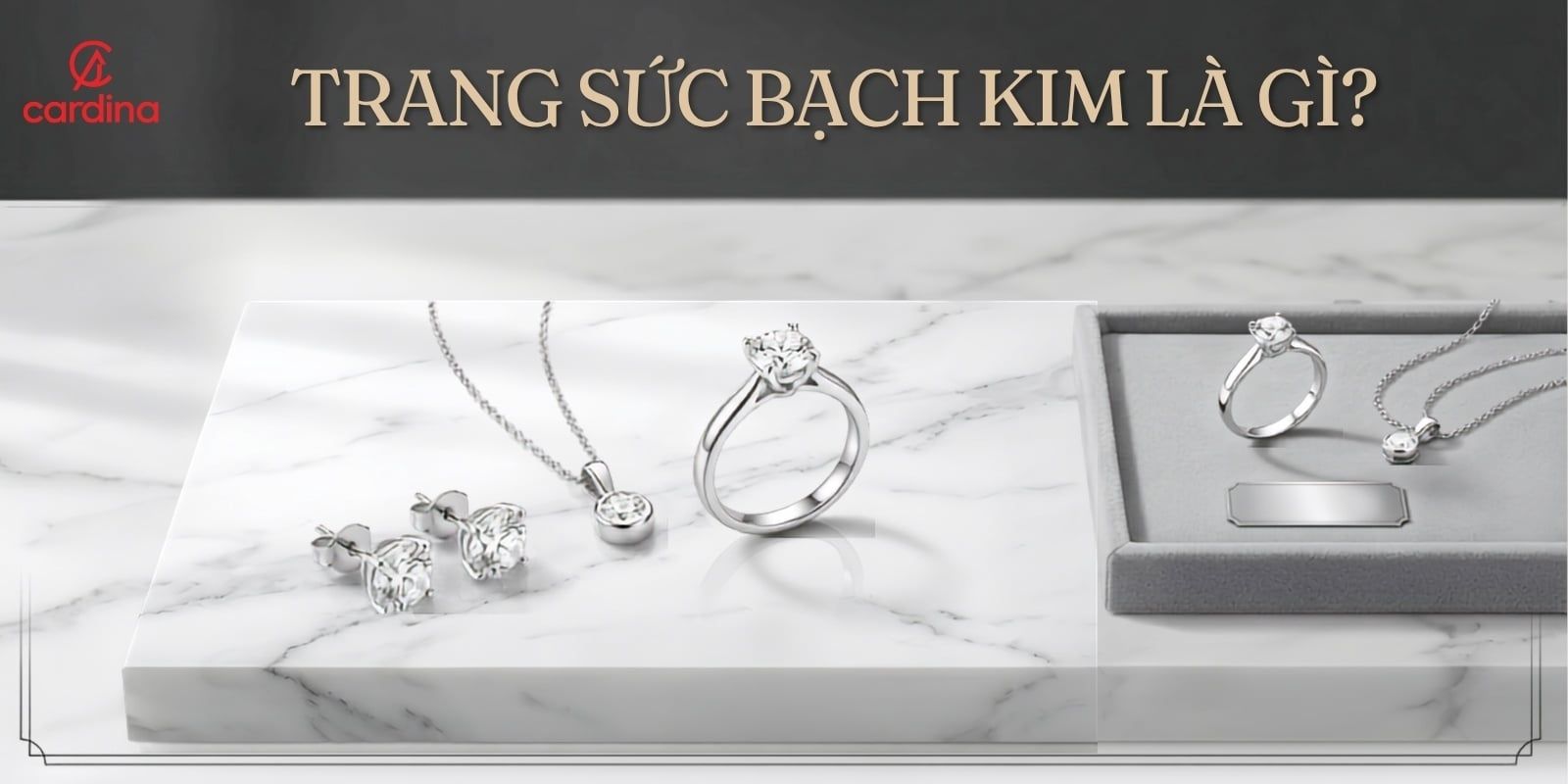 Trang sức bạch kim là gì? Đặc điểm, giá bán và cách phân biệt với vàng trắng