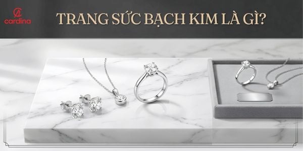 Trang sức bạch kim là gì? Đặc điểm, giá bán và cách phân biệt với vàng trắng