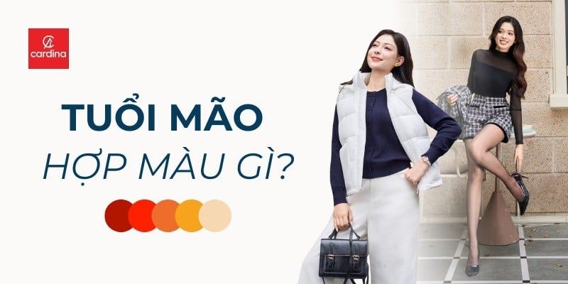 Tuổi Mão Hợp Màu Gì? Cẩm Nang Chọn Màu May Mắn, Hút Tài Lộc