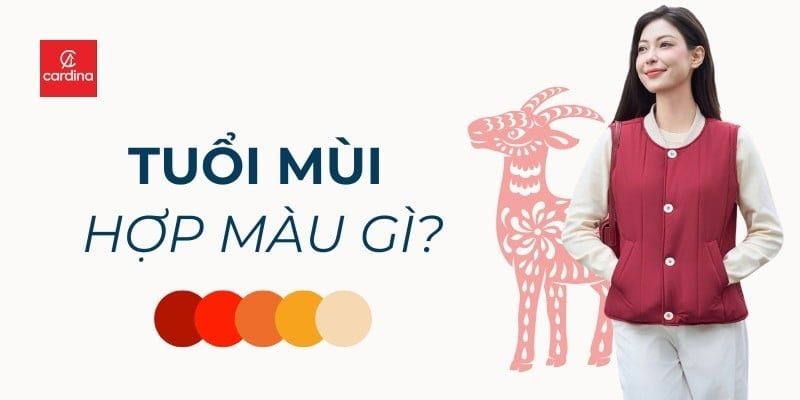 Tuổi Mùi Hợp Màu Gì? Bật Mí Bí Kíp Thu Hút Tài Lộc, Thăng Hạng Vận May