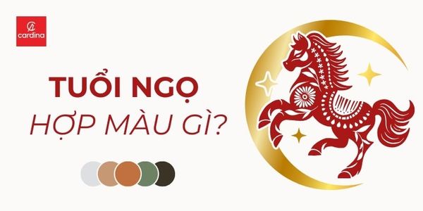 Tuổi Ngọ Hợp Màu Gì? Bật Mí Màu Sắc Giúp Bùng Nổ Tài Lộc Và Tình Duyên