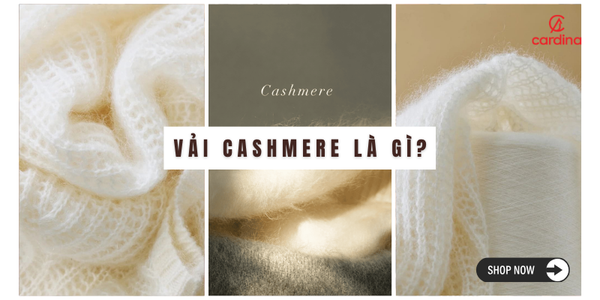 Vải cashmere là gì? Cùng tìm hiểu về Cashmere - chất liệu của giới thượng lưu