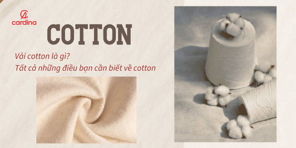 Vải cotton là gì? Tất cả những điều bạn cần biết về cotton