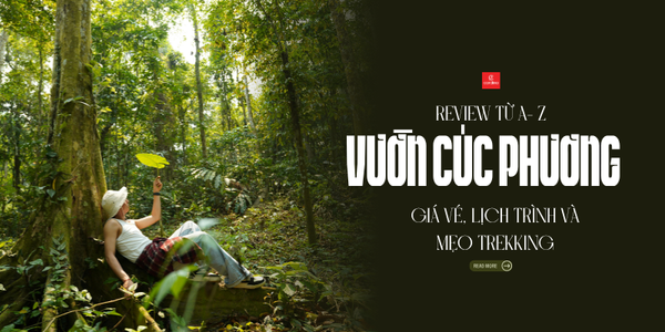 Vườn quốc gia Cúc Phương: Kinh nghiệm du lịch, giá vé và lịch trình từ A-Z