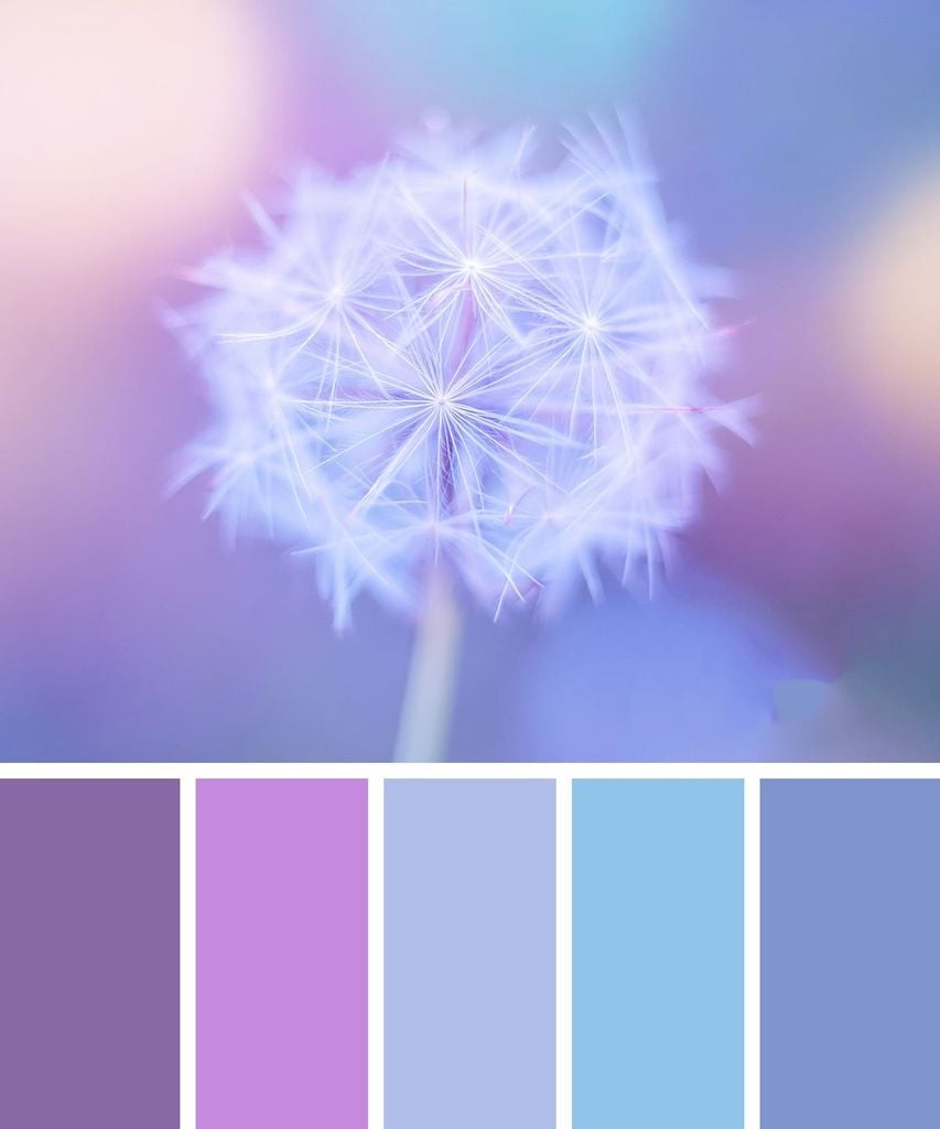 Bảng màu pastel