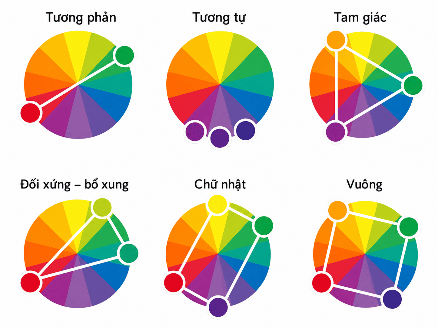 Bảng màu phối đồ