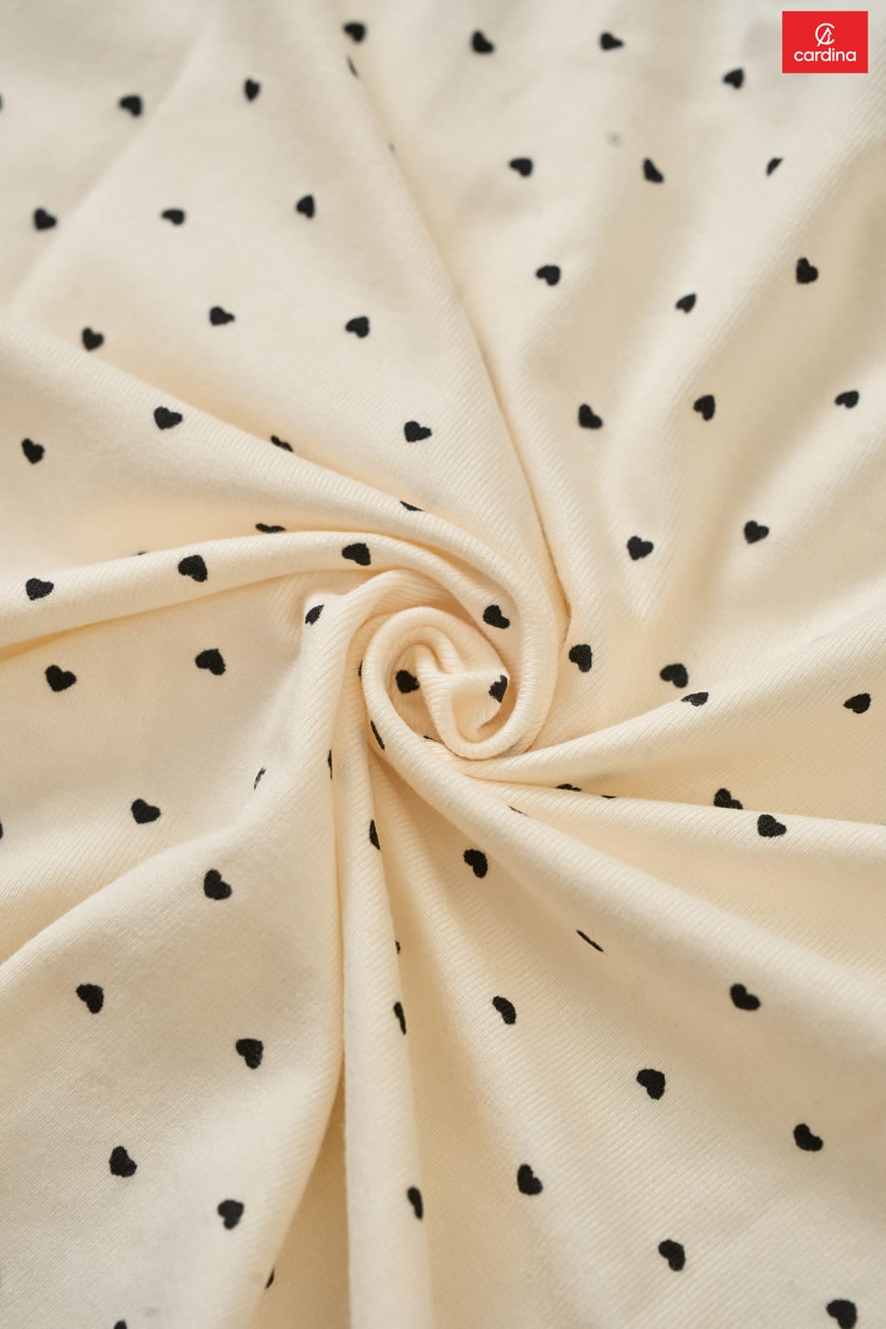 Bộ đùi Cotton Zip in họa tiết cổ tròn gấu bèo